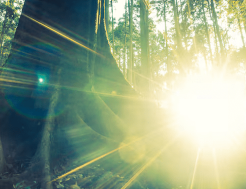 Benefits of Daylight